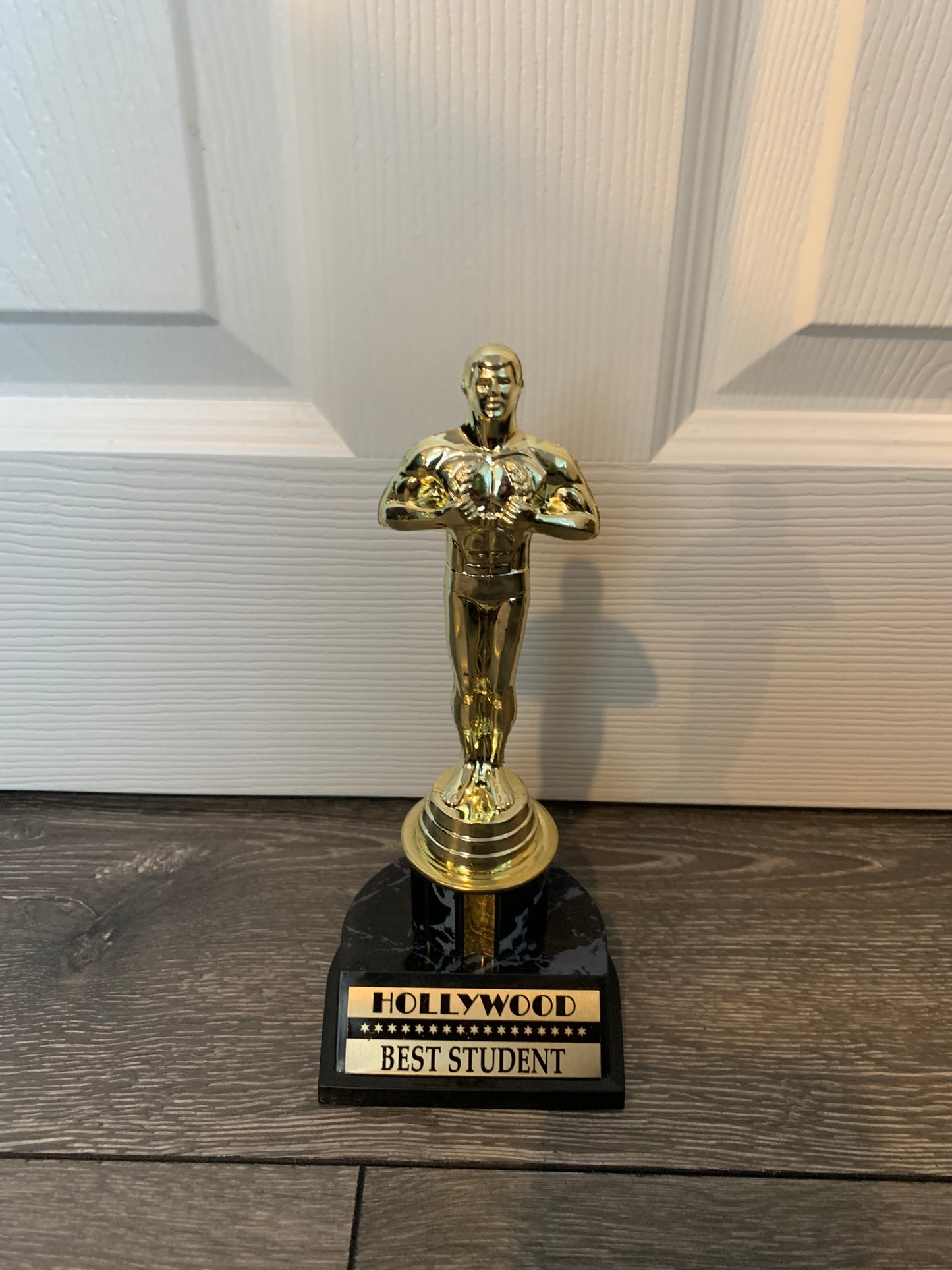 Oscar Hollywood Award Trophy Replica -Best Student